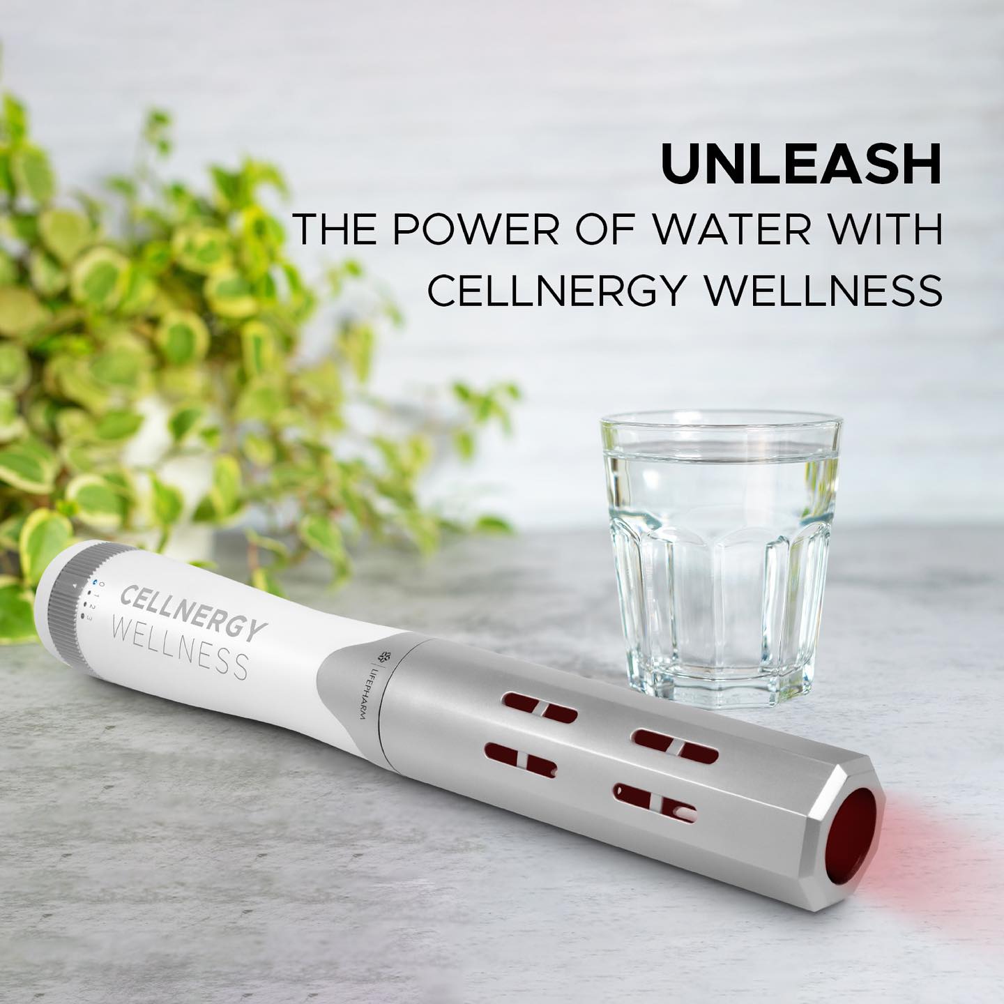 Cellnergy Wellness dispositivo